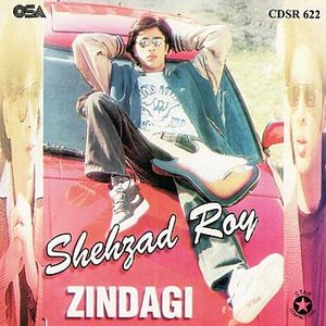 Zindagi - Vol. 4