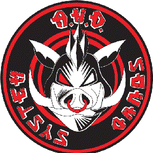 A.N.D. Sound System 的头像