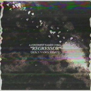 Regressor (HOLY FAWN Remix)