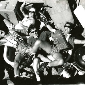 Avatar for The Vandals