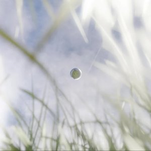 Year in the Sun