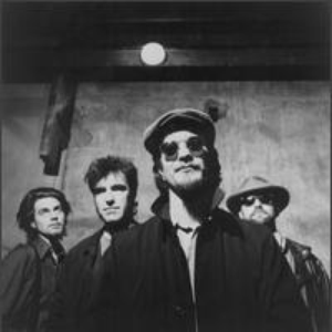 Shoulders photo provided by Last.fm