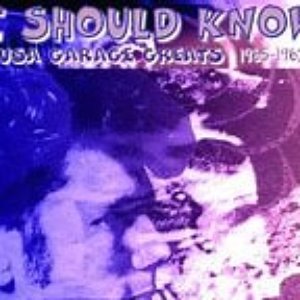 USA Garage Greats 1965-1967: Vol. 140: I Should Know
