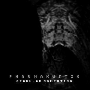 Granular Computing