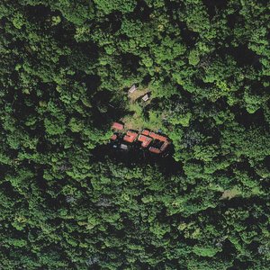 Public gardens 的头像