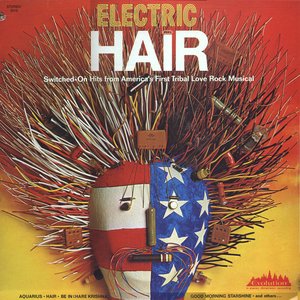 The Electric Hair 的头像