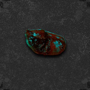 Avatar di L-Ali & Pesca