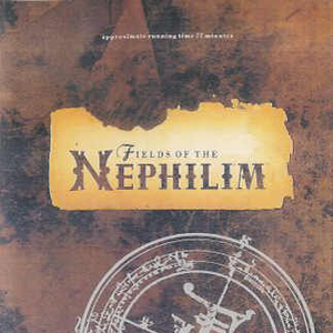 Fields of the Nephilim - Tonight and Forever - Zortam Music