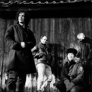 Michel Wintsch, Franziska Baumann, Fred Frith & Bernard Trontin 的头像