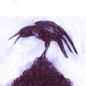 Dissecting The Worm (A Taste)