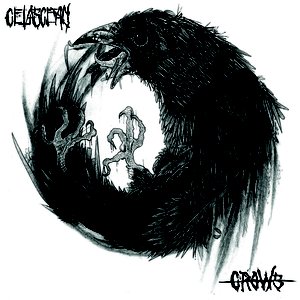 CROWS