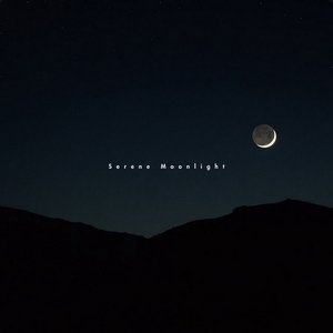 Serene Moonlight
