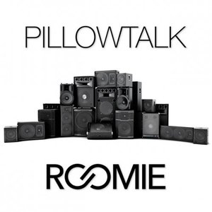 Pillowtalk [Explicit]