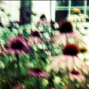 Queen Of Daisies EP