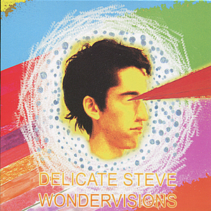 Delicate Steve - Wondervisions - Zortam Music