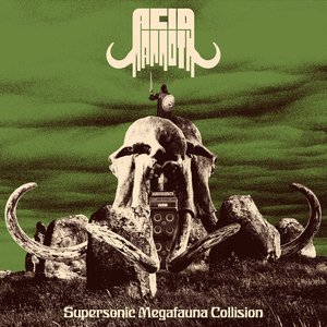 ACID MAMMOTH - Supersonic Megafauna Collision