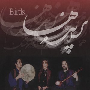 Birds (Parandehaa)