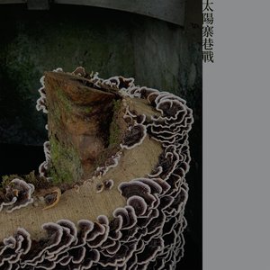 太陽寨巷戰