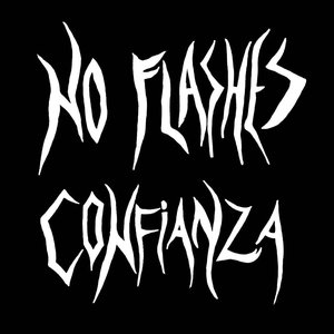 NO FLASHES CONFIANZA のアバター