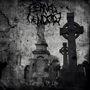 Cemetery Of Life