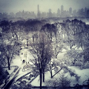 Snow Skyline