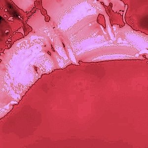 Anthology 2 (The Compilation Tracks 1989-1997)