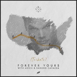 Imagem de 'Forever Yours (Avicii Tribute)'