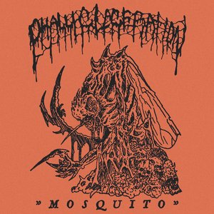 Mosquito