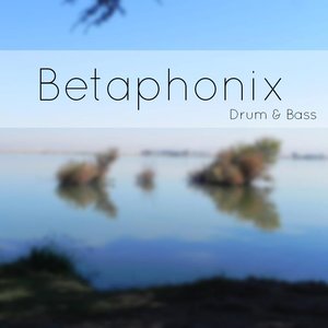 Betaphonix 的头像