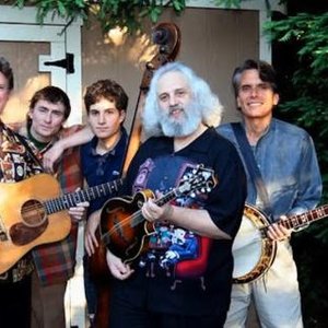 Image for 'David Grisman Bluegrass Experience'