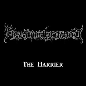 The Harrier - Single