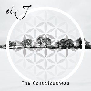 The Consciousness