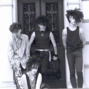 The Naked and the Dead 的头像