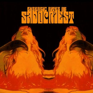 Lysergic Rites Of Sadopriest 的头像