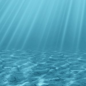 Empty Ocean Floor