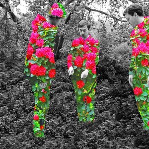Avatar for Love-Songs