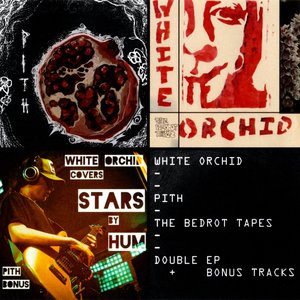 Pith / The Bedrot Tapes
