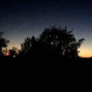 and a Stillness Washed Over Me