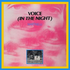 Voice (In The Night)