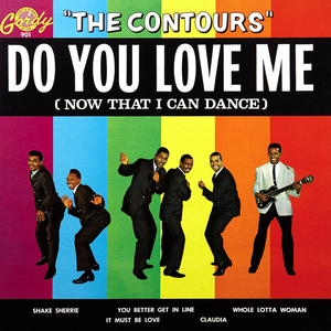 Do You Love Me (Now That I Can Dance) cover
