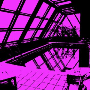 Pink Films