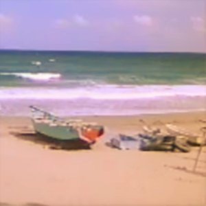 desolatecoast荒果てた海岸