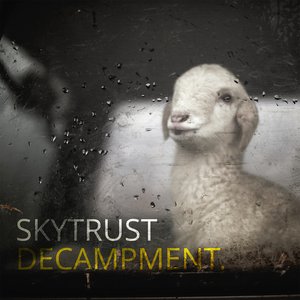 SkyTRUST のアバター