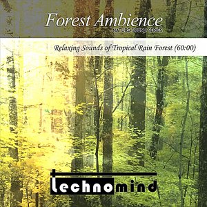 Forest Ambience