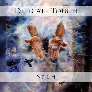 Image for 'Delicate Touch'