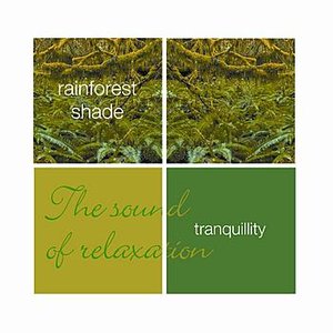 Tranquillity- Rainforest Shade