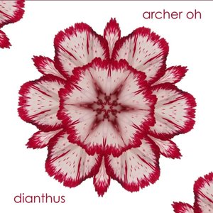 Dianthus - Single