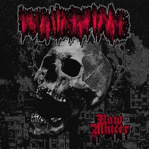 Raw Mincer