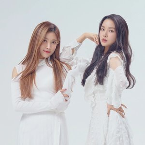 릴리릴리 的头像