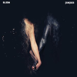 Bloom & Dylan Brady 的头像